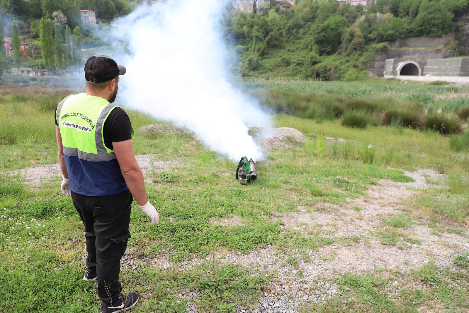 SİNEKLERİN SON DANSI