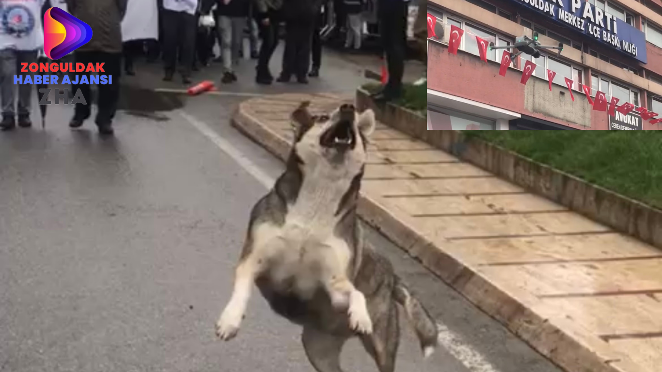 DRONU GÖRDÜ ÇILDIRDI!