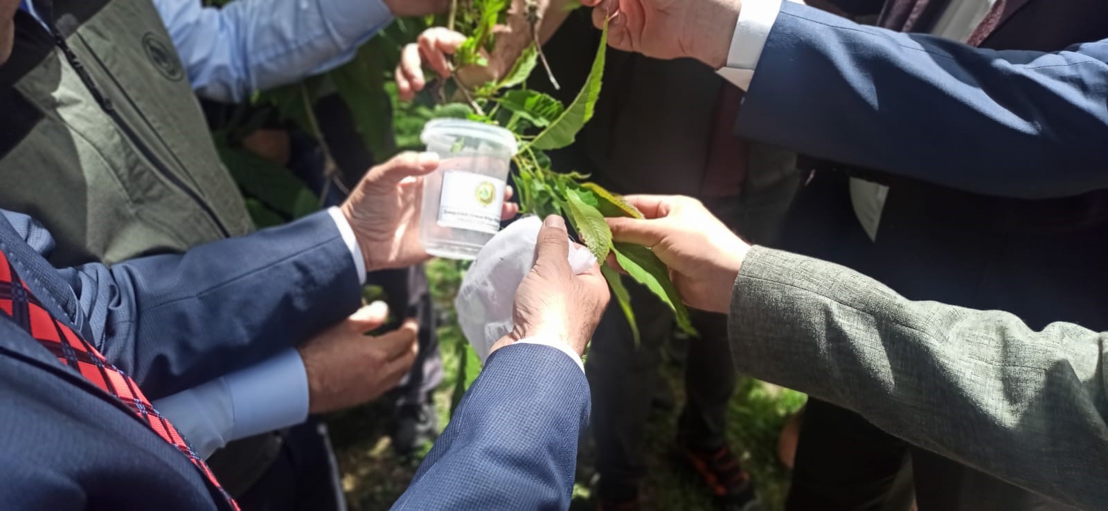 Doğaya 300 Böcek Salındı!